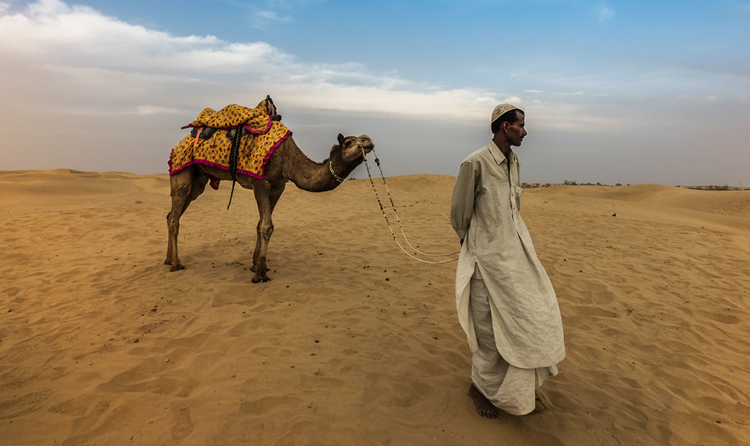 8 Days Jaipur Jodhpur Jaisalmer Udaipur Tour